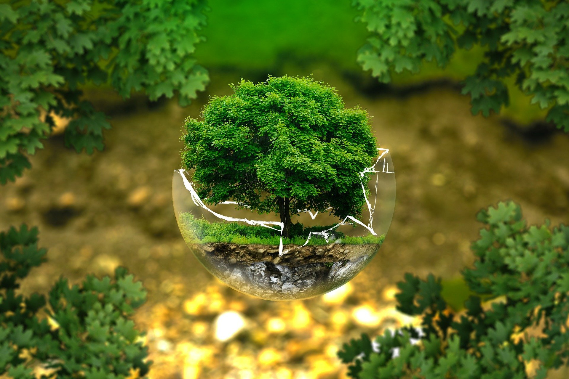 environmental-protection-g21eae39be1920.jpg