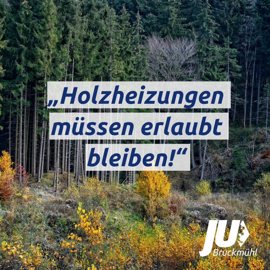 holz.png