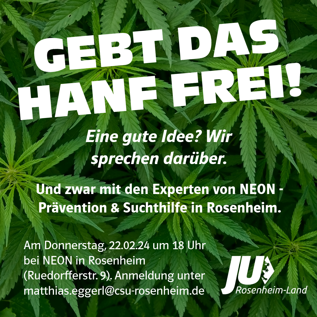 vs-neon-22.02.24.png
