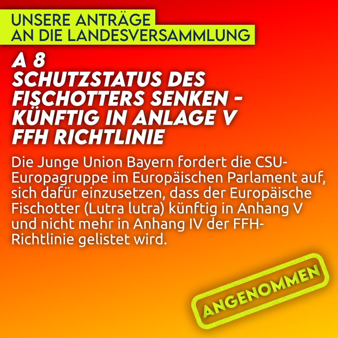 lvantraegewebsite4.png