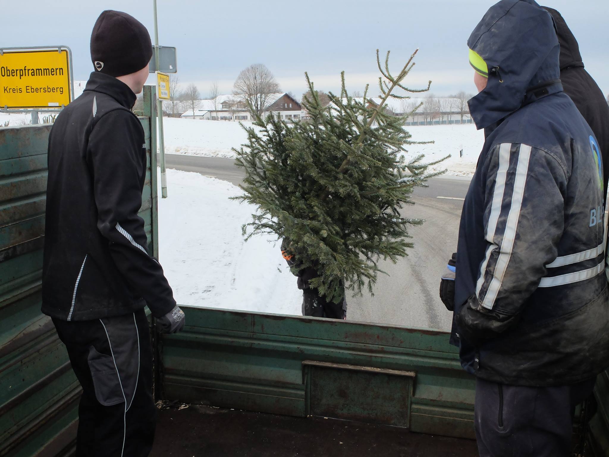christbaum03.jpg