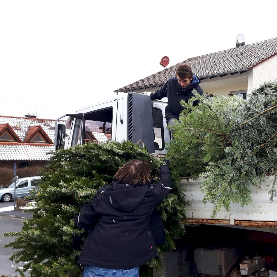 2017ju-tannenbaumaktion-2-zuschnitt.jpg